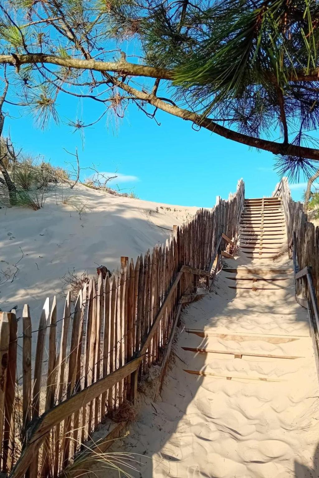 Holiday Home Les Pinasses By Interhome Mimizan Plage Exterior foto